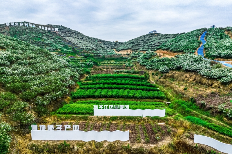 产业振兴